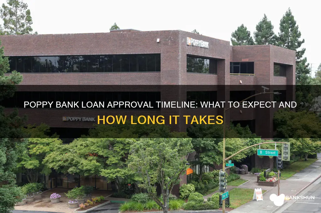 how long for poppy bank to approve