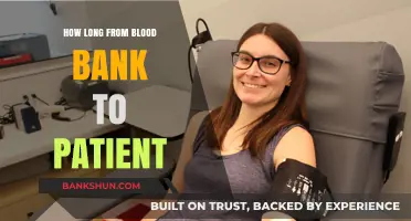 Blood Bank to Patient: Understanding the Journey and Timeline