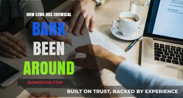 Exploring Chemical Bank's Legacy: A Journey Through Time and Finance