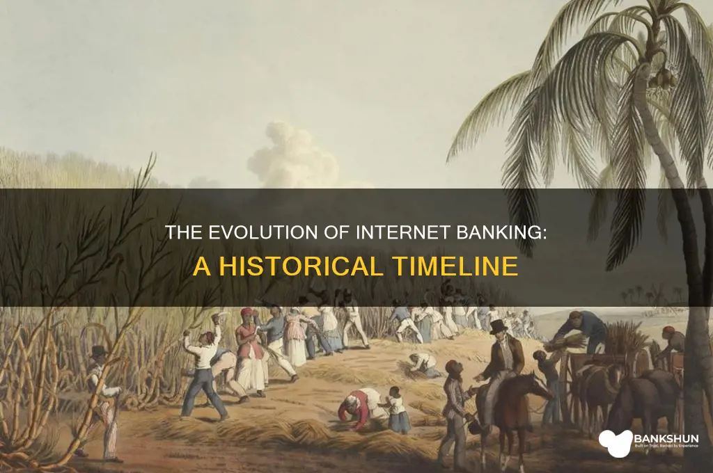 how long has internet banking been around