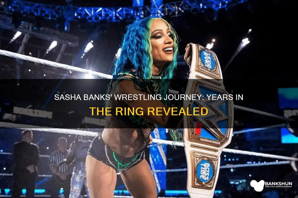 how long has sasha banks been wrestling
