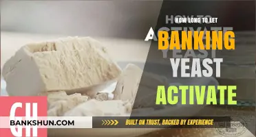 Mastering Baking Yeast Activation: Optimal Time for Perfect Results