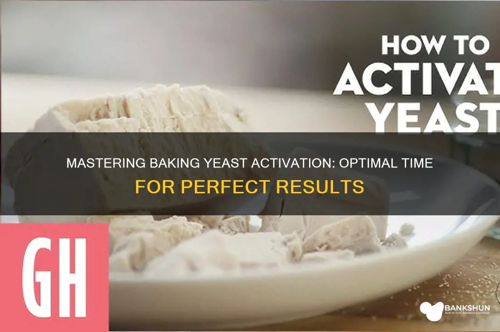 how long to let banking yeast activate