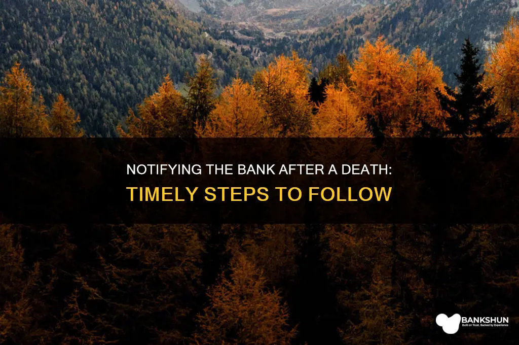 how long to notify bank of death