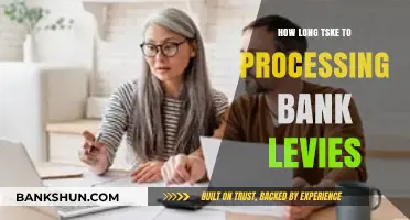 Understanding the Timeline for Processing Bank Levies: What to Expect