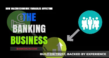 Macroeconomic Variables and Their Impact on Banking Business Performance