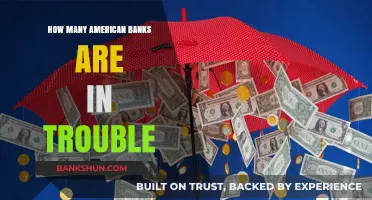 Are American Banks in Crisis? Analyzing the Troubled Financial Landscape