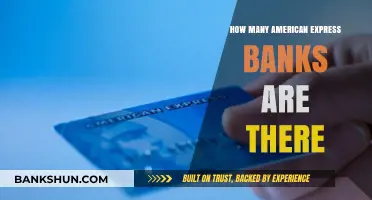 Exploring the Number of American Express Banks Nationwide