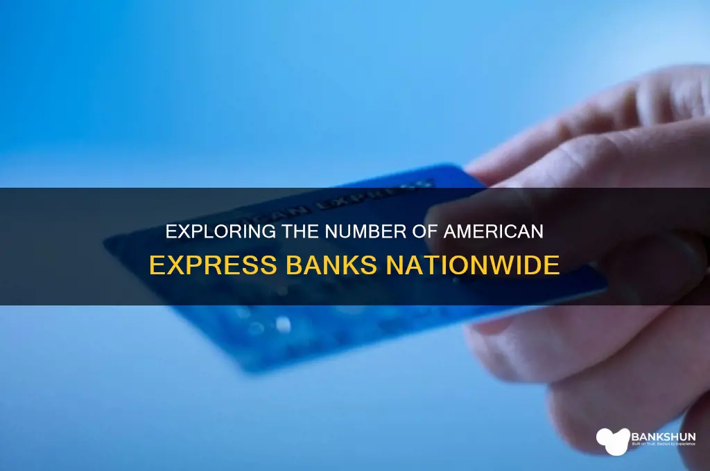 how many american express banks are there