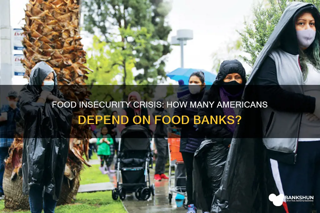 how many americans rely on food banks