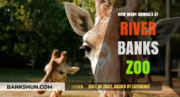 Discover the Diverse Wildlife Population at River Banks Zoo