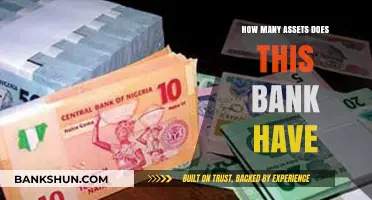 Exploring the Bank's Financial Strength: Total Assets Unveiled