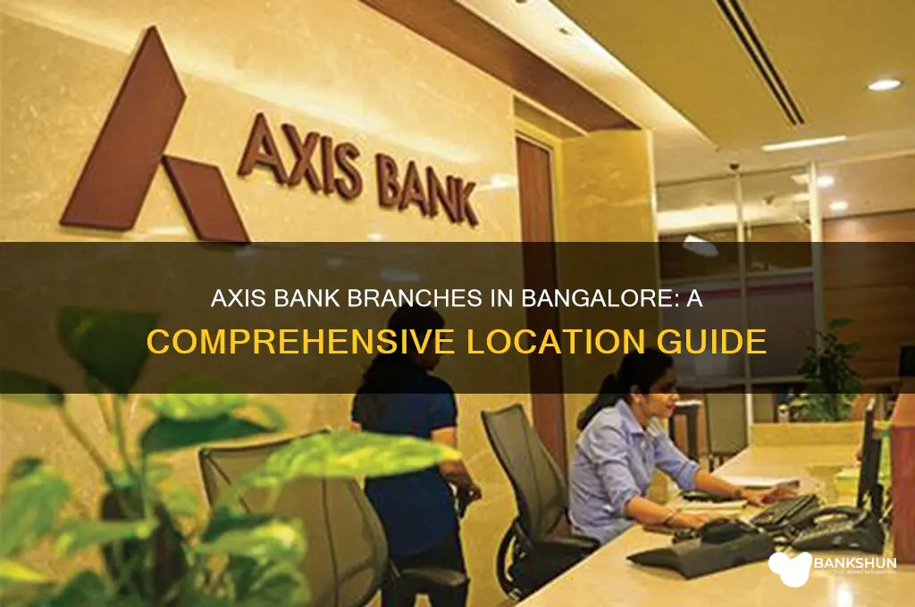how many axis bank branches in bangalore