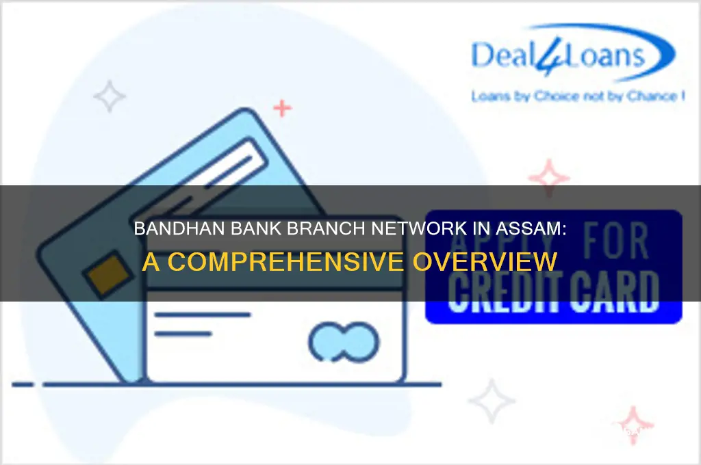 how many bandhan bank branch in assam