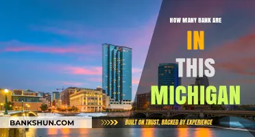 Exploring Michigan's Banking Landscape: How Many Banks Operate Here?