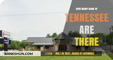 Exploring the Presence of Bank of Tennessee Branches Across the State