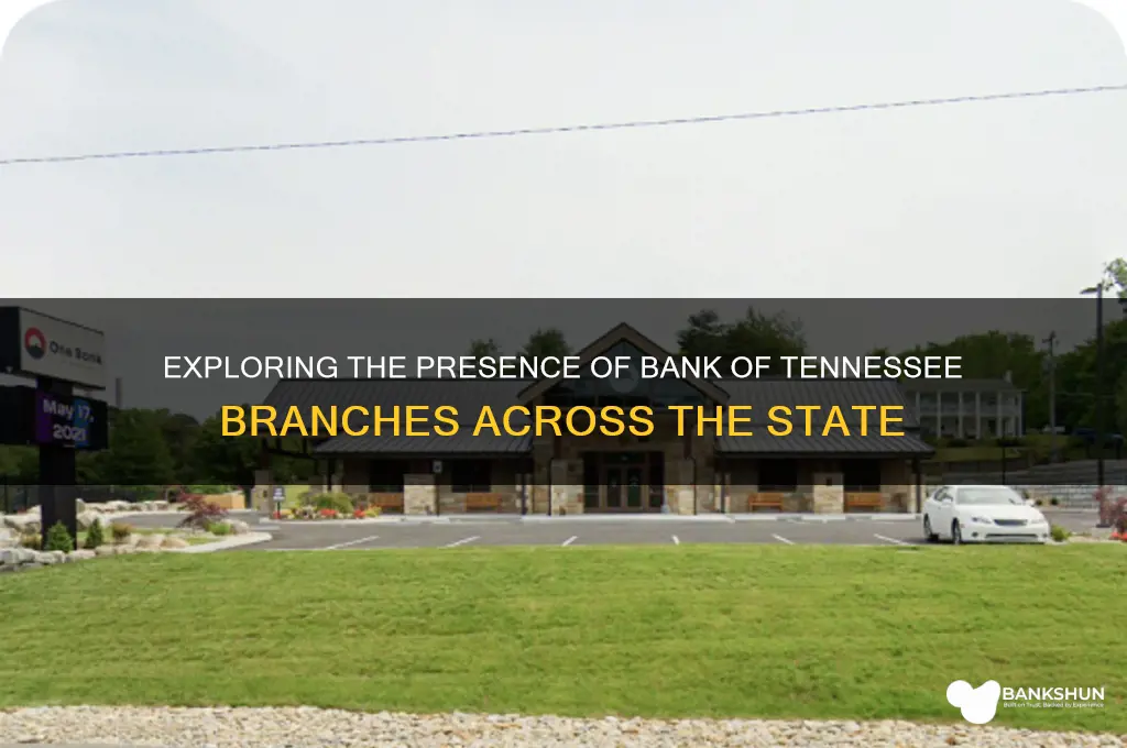 how many bank of tennessee are there