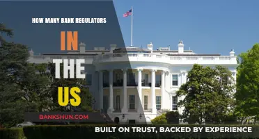 Understanding the Complex Web of US Bank Regulatory Authorities