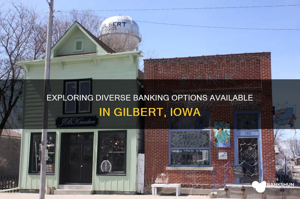 how many banking options in gilbert ia