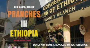 Exploring Ethiopia's Banking Network: Banks and Branches Count Revealed