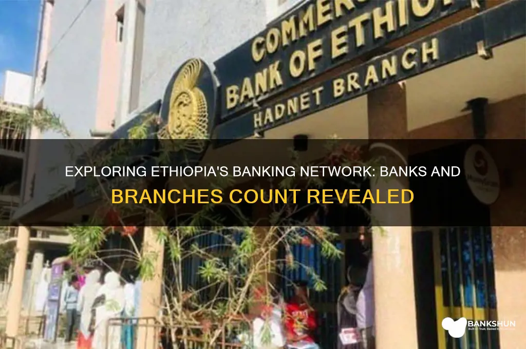 how many banks and pranches in ethiopia