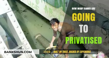 Privatization Wave: How Many Banks Are Set to Go Private?
