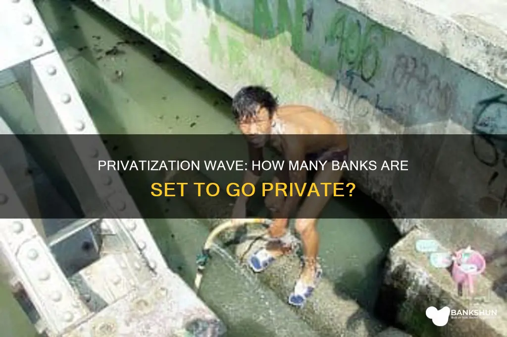 how many banks are going to privatised