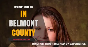 Exploring Belmont County's Banking Landscape: How Many Banks Exist?