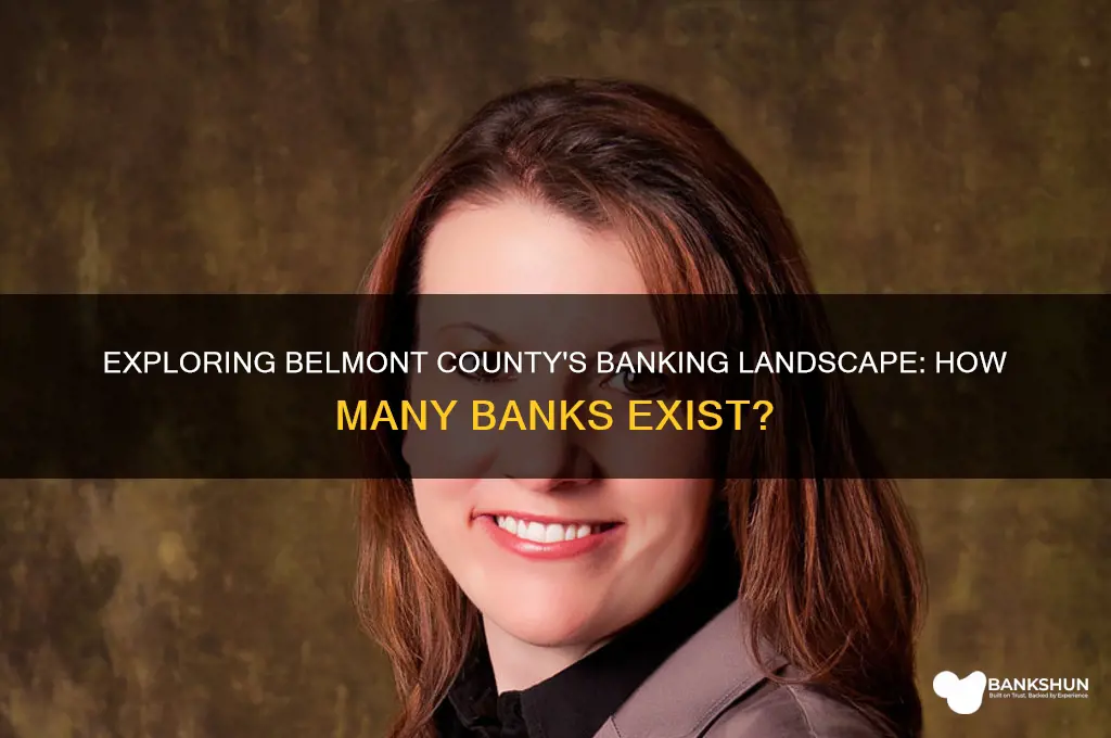 how many banks are in belmont county