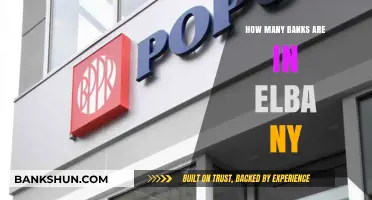 Exploring the Number of Banks Serving Elba, New York Community