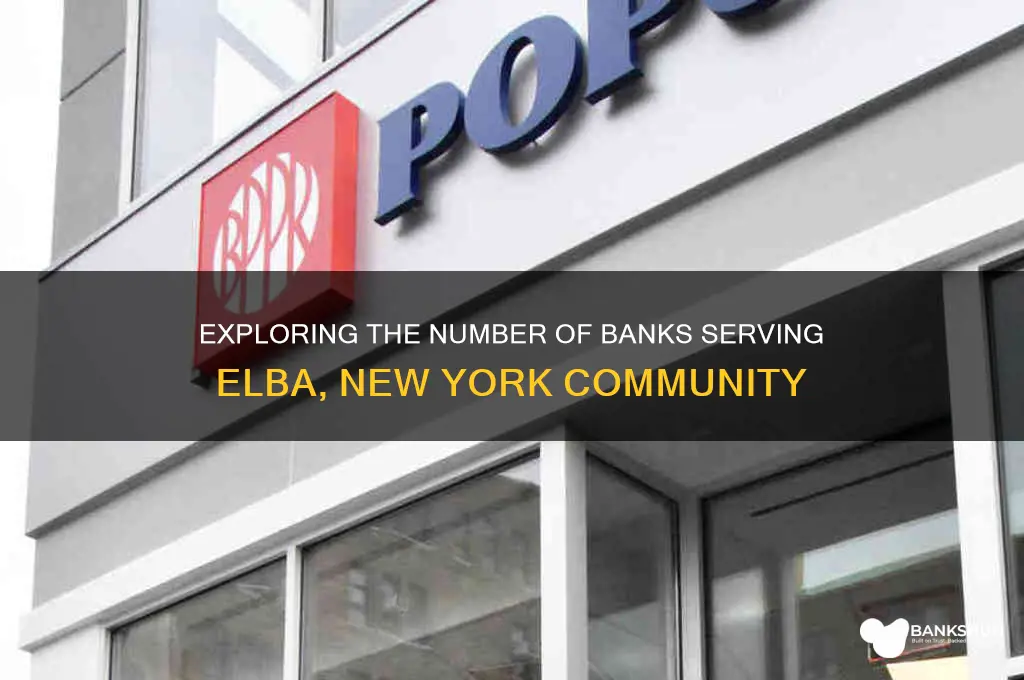 how many banks are in elba ny