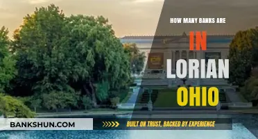 Exploring Lorain, Ohio: Uncovering the Number of Banks in the City