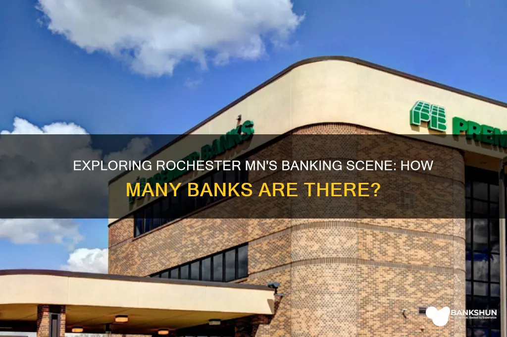 how many banks are in rochester mn