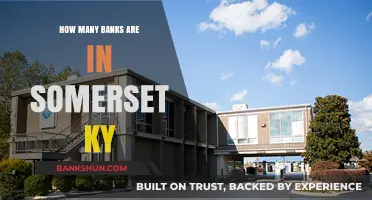 Exploring the Number of Banks in Somerset, Kentucky: A Comprehensive Guide