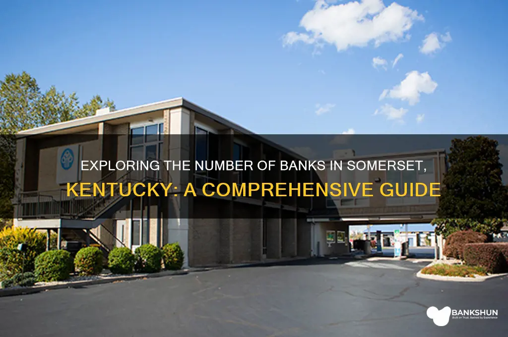 how many banks are in somerset ky