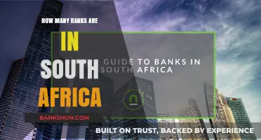 Exploring South Africa's Banking Sector: A Comprehensive Count of Banks