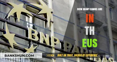 Exploring the Extensive Network of Banks Across the European Union