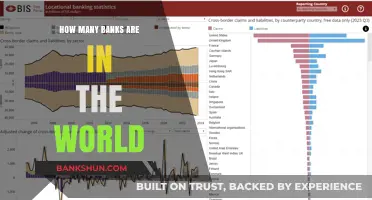 A Global Overview: How Many Banks Exist?