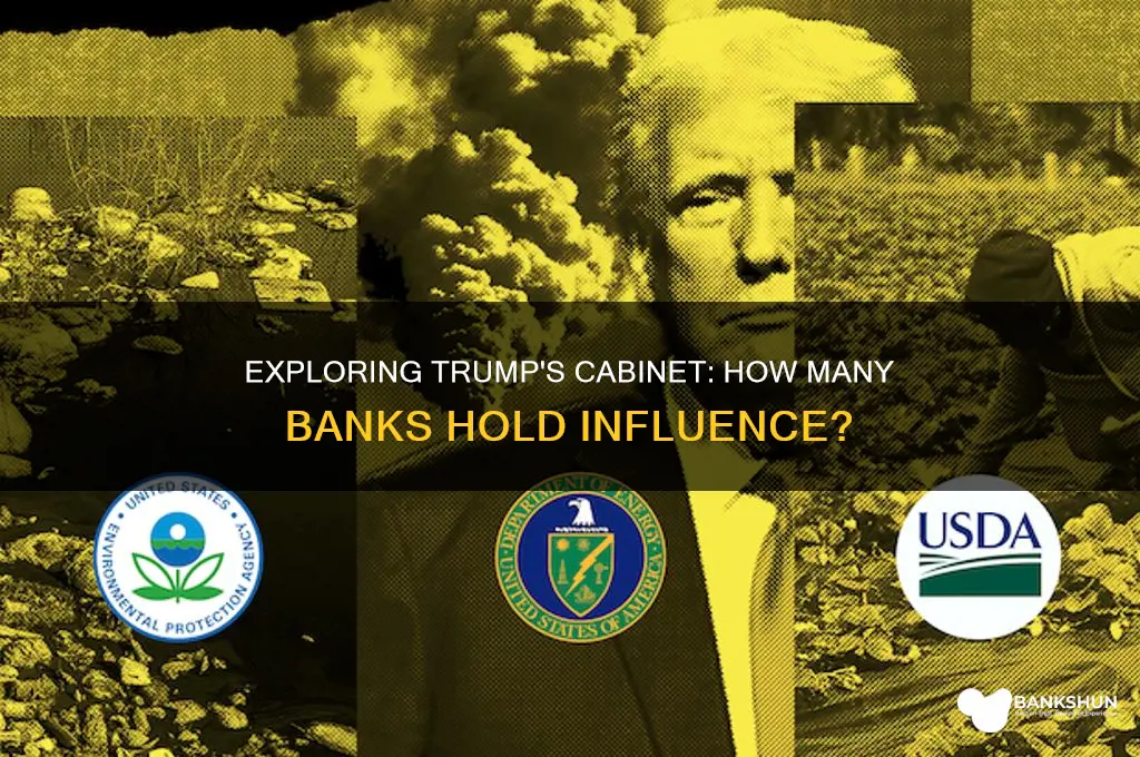 how many banks are on trumps cabinet
