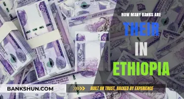 Exploring Ethiopia's Banking Sector: A Comprehensive Count of Banks