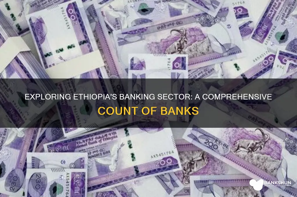 how many banks are their in ethiopia