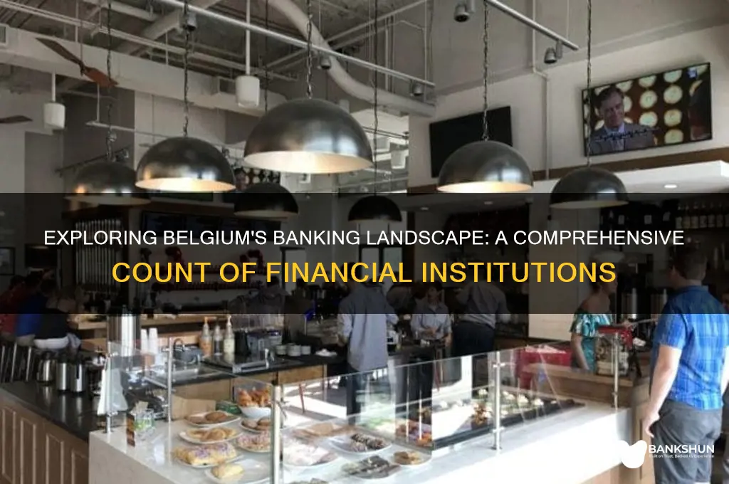 how many banks are there in belgium