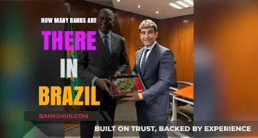 Exploring Brazil's Banking Landscape: A Comprehensive Count of Financial Institutions