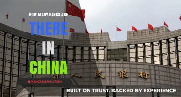 Exploring China's Banking Sector: A Comprehensive Count of Banks