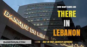 Exploring Lebanon's Banking Sector: A Comprehensive Count of Banks