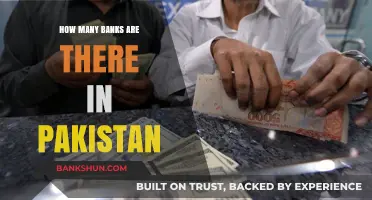 Exploring Pakistan's Banking Sector: A Comprehensive Count of Banks
