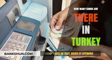 Exploring Turkey's Banking Sector: A Comprehensive Count of Banks