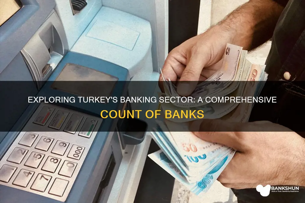 how many banks are there in turkey
