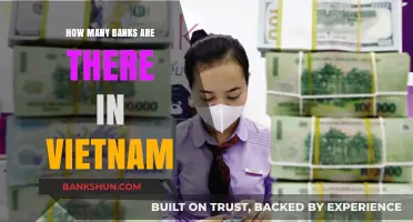 Exploring Vietnam's Banking Sector: A Comprehensive Count of Banks