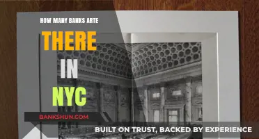 Exploring the Extensive Banking Landscape of New York City
